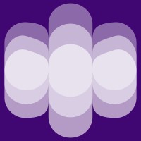 SAUFEX logo - Similar company to De-Conspirator