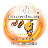 tonylocorriere.org logo - Similar company to Dadà