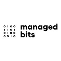 Managed BITS logo - Similar company to Professional I.T
