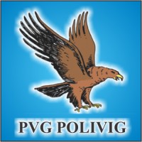 Pvg Polivig logo - Similar company to Automação 2000