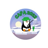 CAPA IMT Nord Europe logo - Similar company to Air Imt Nord Europe