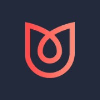 Marketview logo - Similar company to Picflow