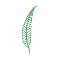 Tensel logo - Similar company to Ogtool