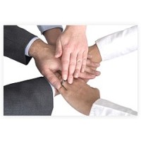 Vitality Trading Co logo - Similar company to Dcb Projects