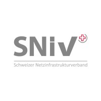 SNiv - Schweizer Netzinfrastrukturverband für Kommunikation, Energie, Transport und ICT logo - Similar company to Webcampus