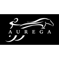 AUREGA GLOBAL logo - Similar company to Well Care Passenger Transport