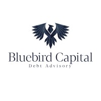 Bluebird Capital logo - Similar company to Ionfi