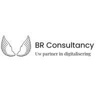 BR Consultancy logo - Similar company to Br Consultants