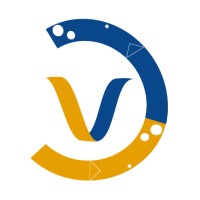 VISION ORIENTATION logo - Similar company to Digidis