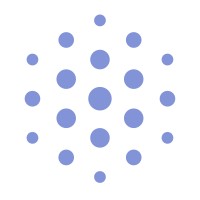 DatFlow logo - Similar company to Akiso Gmbh & Co.Kg