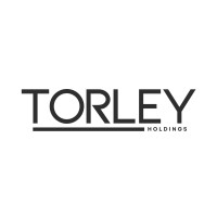 Torley Holdings logo - Similar company to Swipe Group