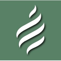 Sagelight Accounting logo - Similar company to Accounting, Financial & Tax Services