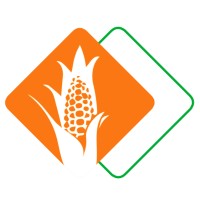 Liderança MT Grãos logo - Similar company to Grãos Cafeteria