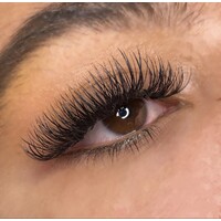 Lashes by Mills logo - Similar company to Noble Lashes