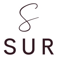 Sur Access logo - Similar company to Latticepoint