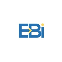 EBi Group logo - Similar company to Ebi̇ Teknoloji