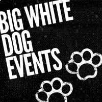 Big White Dog Events logo - Similar company to Winston'S Tea Company