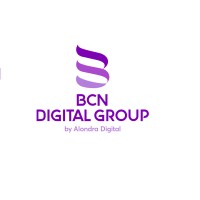 BCN Digital Group logo - Similar company to Bcn Capital Group