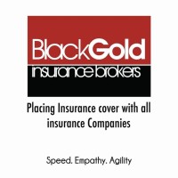 BlackGold Insurance Brokers Limited logo - Similar company to Kayela Express Ltd