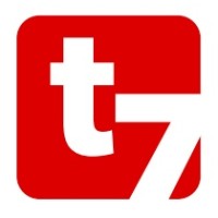 Telesis7 Consulting logo - Similar company to One More-Solution.Com