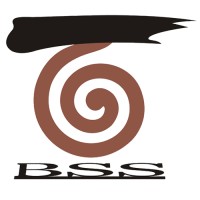 Beijing Stars Stone Co., Ltd logo - Similar company to Zenmeasure