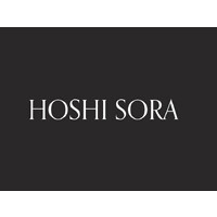 Hoshi Sora logo - Similar company to Moonshot3D