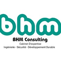 BHM Consulting SARLU logo - Similar company to Newbound