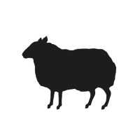 BBH China logo - Similar company to D&D Creative