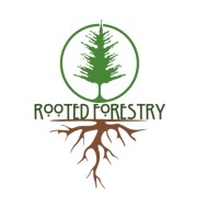 Rooted Forestry logo - Similar company to Northern Pines Nursery