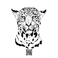 Jaguar Identification Project logo - Similar company to Ethical Conservation Alliance (Eca)