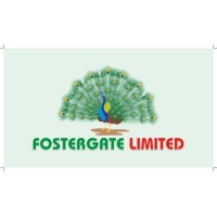 FosterGate Consulting logo - Similar company to Ai Power Lab / Start Learn Llc