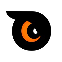 Owlsion Pictures logo - Similar company to Rural Sociological Society (Rss)