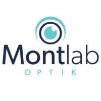 Montlab Optik logo - Similar company to Sc Optical Network Srl