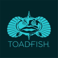 Toadfish logo - Similar company to Media Direct Creative