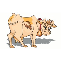 Mr. Dairy and Food Distibuting Ltd. logo - Similar company to Mr.Kitchies Food Private Limited