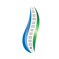 Life Spine Implantes logo - Similar company to Belti