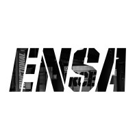 ENSA logo - Similar company to Strategy & Execution