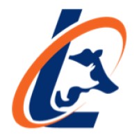 Lowe Consulting Ltd. logo - Similar company to Lowe Consulting Group, Inc.