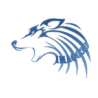 Imago3d logo - Similar company to Imago 3D