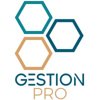 GESTION-PRO logo - Similar company to Vision Entreprise