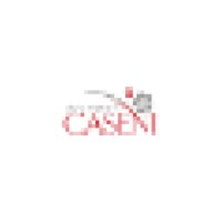 CASENI logo - Similar company to Envelopments, Inc