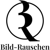 Bild-Rauschen GmbH logo - Similar company to Helplink Gmbh