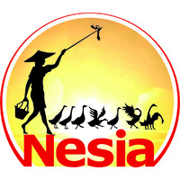 NESIA FOOD logo - Similar company to Kdes Global