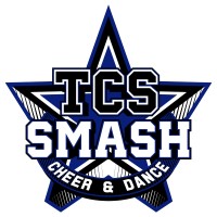 TCS Smash logo - Similar company to City Of Kokemäki