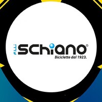Schiano Official logo - Similar company to Datalaborcom