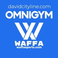 Davidcityline logo - Similar company to Mertanen Analytics Oy