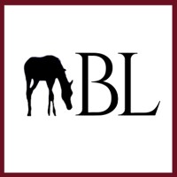 Bianca Landwolf Communications logo - Similar company to Telemaco Srl