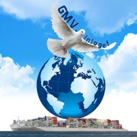 GMV INLOGEF INTERNATIONAL LOGISTICS EFFICIENCY logo - Similar company to Ltt Services