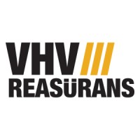 VHV Re logo - Similar company to Oneworld Consulting