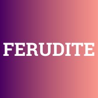 Ferudite logo - Similar company to Synchronized Agency Inc.